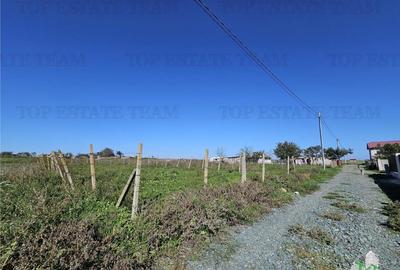 TEREN 500 MP COSTINESTI ZONA CASA BARINA - 5