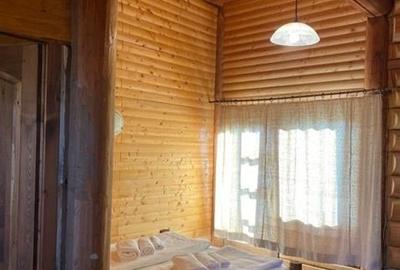 FILM! Resedinte montane,mobilate,echipate, jacuzzi,piscina,pretios areal,Sambata - 32