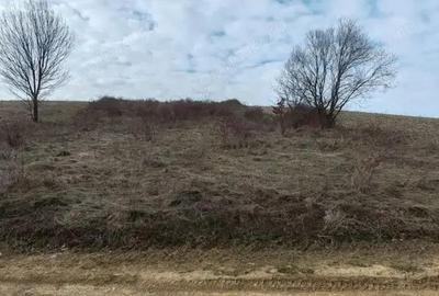 Teren 2282 mp, extravilan, localitatea Fasca, comuna Varciorog, jud. Bihor - 5