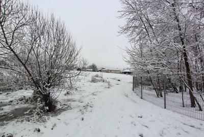 Teren intravilan | Mitocu Dragomirnei | T-7684 - 3