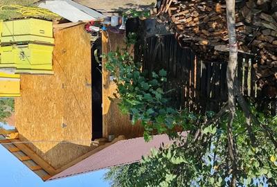 Casă cu 2 camere cu Teren 334 Mp în Vinerea - 6