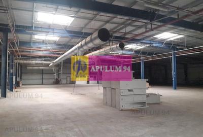 Spațiu industrial, de 4,850 mp, în 1 Decembrie - 37
