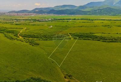 Teren de 10800 mp, în Râșnov - 8