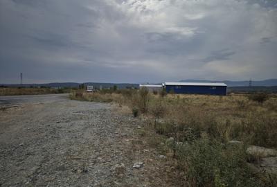 Teren intravilan - 1070 mp - str. Ciocarlau - spre Preajba - 8