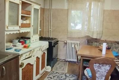 Vanzare apartament 4 camere - Teiul Doamnei - Stradal - vedere spate - 10