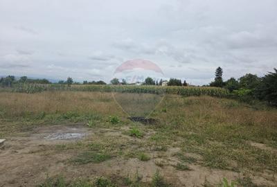 Casă individuală cu 4 camere cu Teren 6110 Mp în Girov - 46