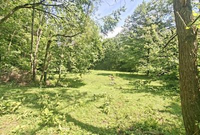 Teren intravilan superb Râșnov Glăjerie - 5