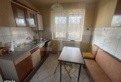 Apartament cu 3 camere, mobilat în Careiului - 6