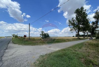 Teren investitie 4.350 mp | Balta Pasarea, langa Bucure?ti Teren investitie 4.350 mp | Balta Pasarea, langa Bucure?ti - 9