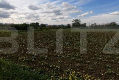Teren intravilan 5800 mp cu toate utilitatile PUZ hala in Oiejdea