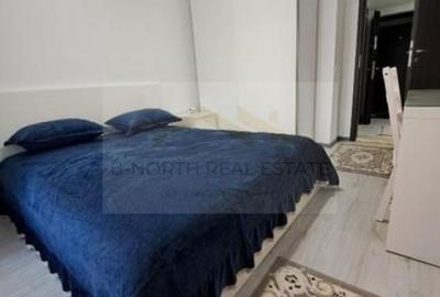 Apartament cu 2 camere decomandat în Roșu - 12