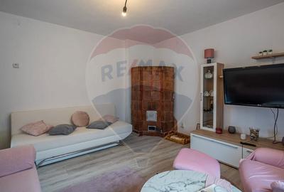 Casa de vanzare Sinca Noua/ Priveliste de vis/ De vanzare! - 11