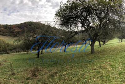 Teren de 14500 mp, în Florești - 1