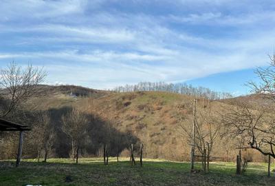 Spațiu comercial, în Săliștioara - 1