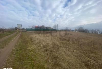 Spațiu comercial, în Abram - 2