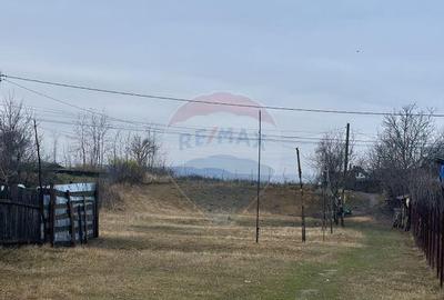 Teren 7,200mp Bodestii de Jos / Strada Bodesti - 1