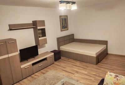 Garsoniera Crangasi - 1