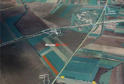 Teren Intravilan - Autostrada Transilvania - iesirea Chiribi - 3