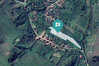 Teren faneata langa padure - Hunedoara - 2