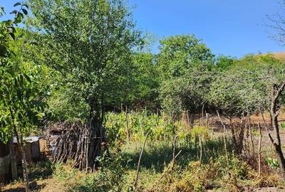 Casa singur curte BALS OLT Casa singur curte BALS OLT - 3