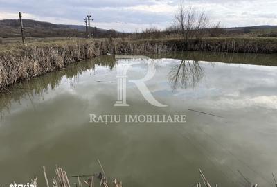 Spațiu comercial, în Rontău - 2