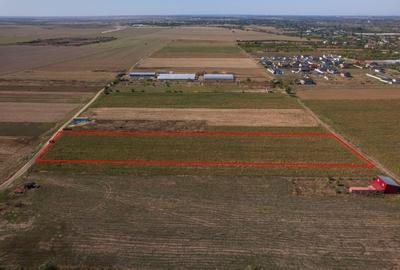 Teren Construcții intravilan de 6525 mp, în Adunații-Copăceni - 4