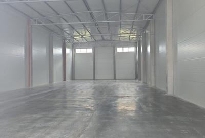 Spatiu depozitare/productie 500 mp, zona Sud - 12