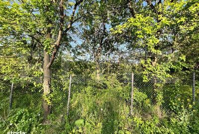 Spațiu comercial, în Central - 6