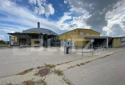 Hala+birouri, 15533mp utili, teren 21323mp, Freidorf - 1