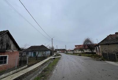 Casă cu 3 camere cu Teren 1600 Mp în Central - 4