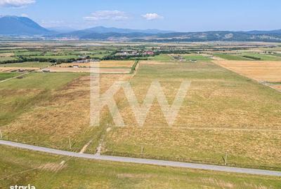 Spațiu comercial, în Părău - 5