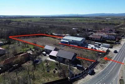 Teren de 3631 mp, în Mândrești-Munteni - 5