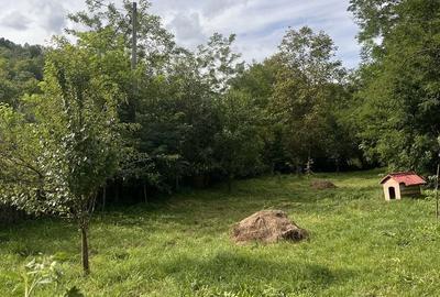 Casă cu 3 camere în Ocoliș - 1