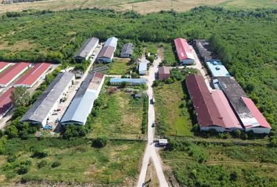 Spatiu industrial de 120mp de inchiriat in zona Exterior Sud - 8
