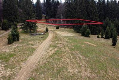 Teren cu potential:1.000 mp,proiect turistic/rezidential,Poiana Brasov - 13