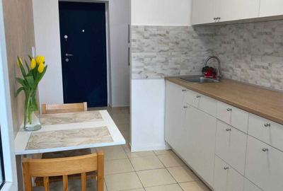 Apartament cu 2 camere semidecomandat, mobilat în Gara de Nord - 5