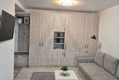 Garsonieră decomandată, mobilată în Turnișor - 3