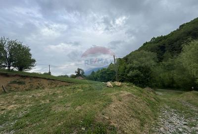 Teren 2,000mp Copalnic-Manastur / Strada Principala - 2