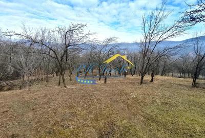 Teren de 5037 mp, în Gura Beliei - 1