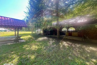 Casă cu Teren 2362 Mp în Tulnici - 20