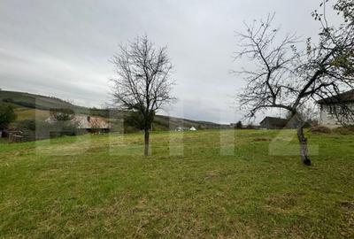 Casa individuala, 3300 mp teren, zona Sintereag - 19