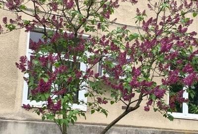 Apartament cu 2 camere decomandat în Astra - 9