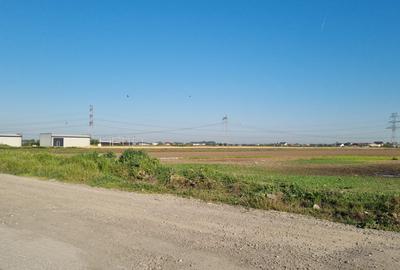 Teren Construcții intravilan de 10000 mp, în Clinceni - 3
