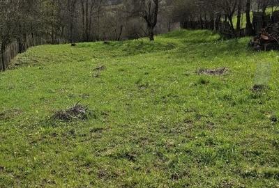 Spațiu comercial, în Valea Doftanei - 11