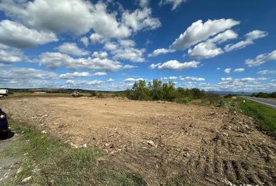 Teren de 5000 mp, în Lugoj - 2