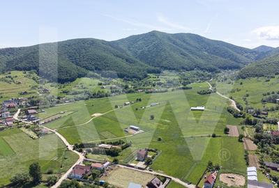 Teren cu peisaj spectaculos in Gura Raului - munte, aer curat, libertate - 7