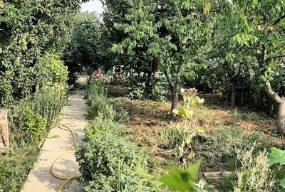 Casa si teren direct proprietar - 4