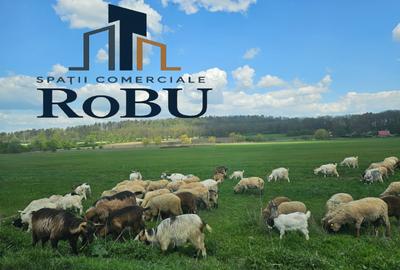 Teren 500 mp Bod iesire - zona Pichetul de Pompieri # Ceracterra - 2