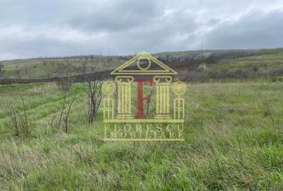 Teren Tomesti! 18 Euro ! - 3