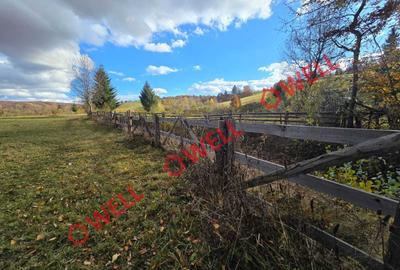 Teren de vânzare în Vama Buzăului, sat Buzaiel! - 5